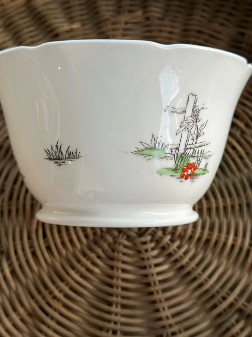 Vintage English Bone China Tea Bowl Saucer Bird Cottagecore Gold Trim